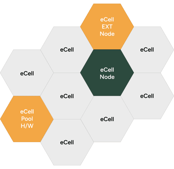 eCell Network Diagram